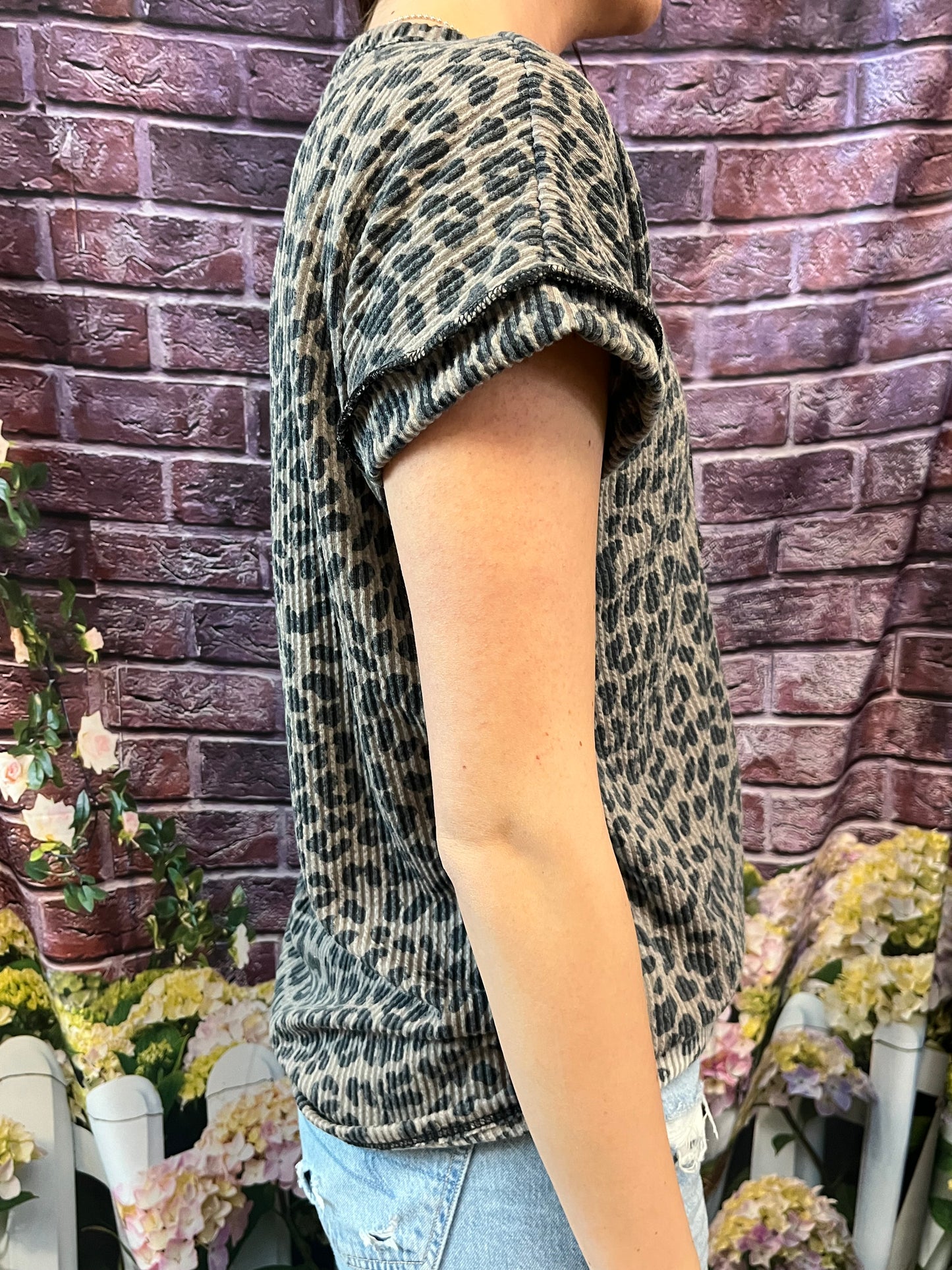 Jacqueline Leopard Top Plus Size