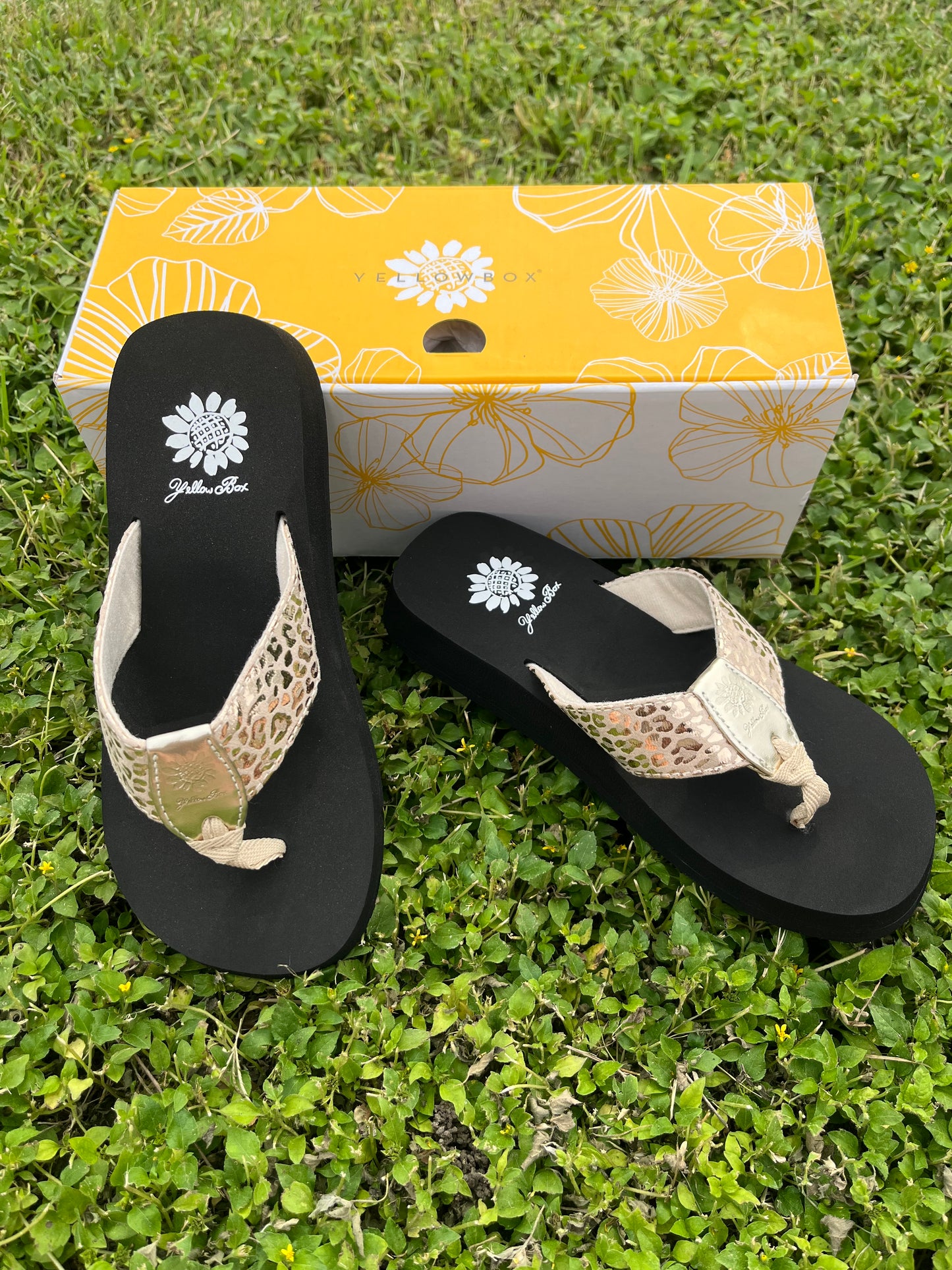 Yellowbox Ferrara Flip Flops
