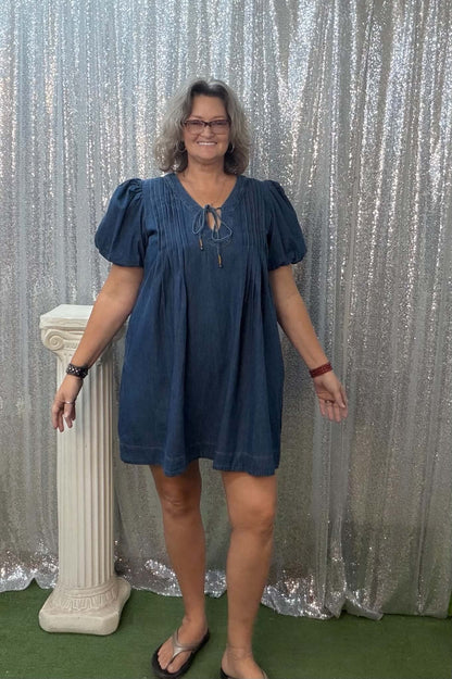 Heimish Denim Dress Plus w/Front & Back Half Pleats