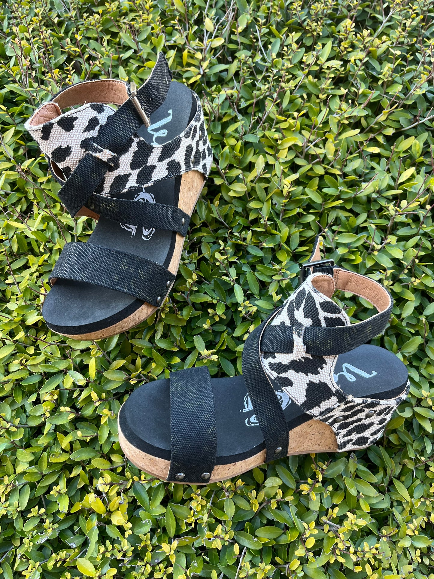 Gypsy Jazz Claire Wedges