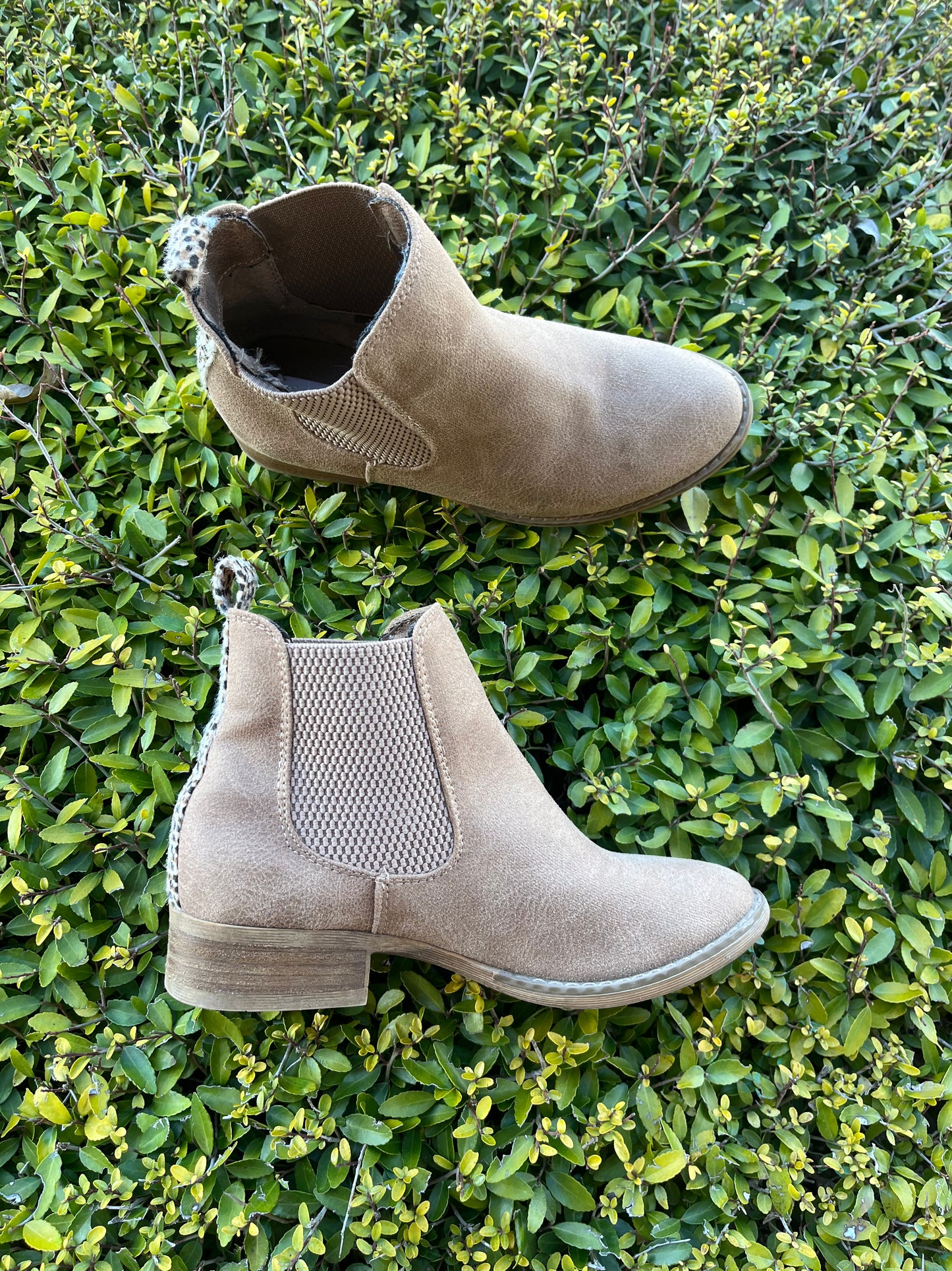 Gypsy Jazz Blake Booties