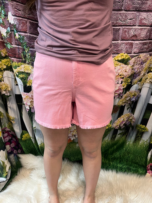 Judy Blue Shorts Plus Size