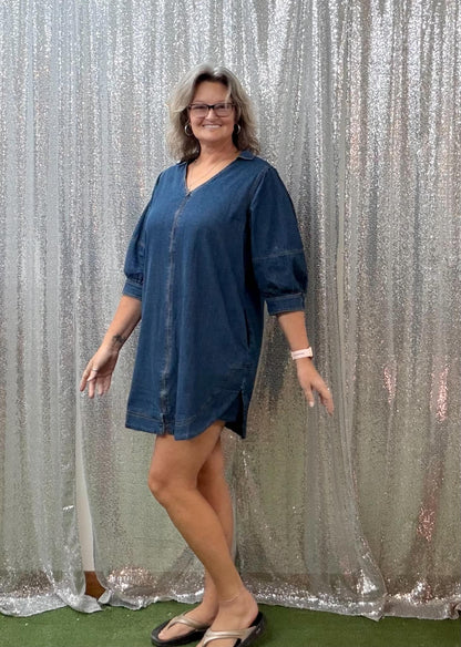 Heimish Denim zip dress PLUS
