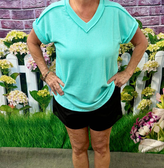 Heimish ribbed vneck top PLUS