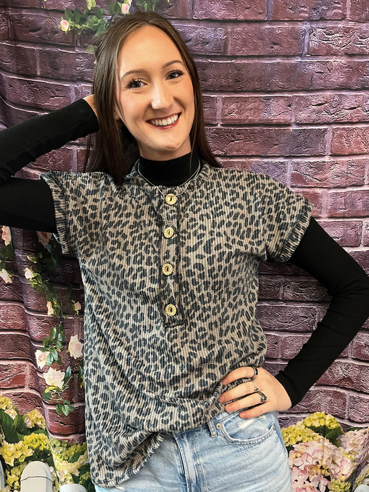 Jacqueline Leopard Top Plus Size