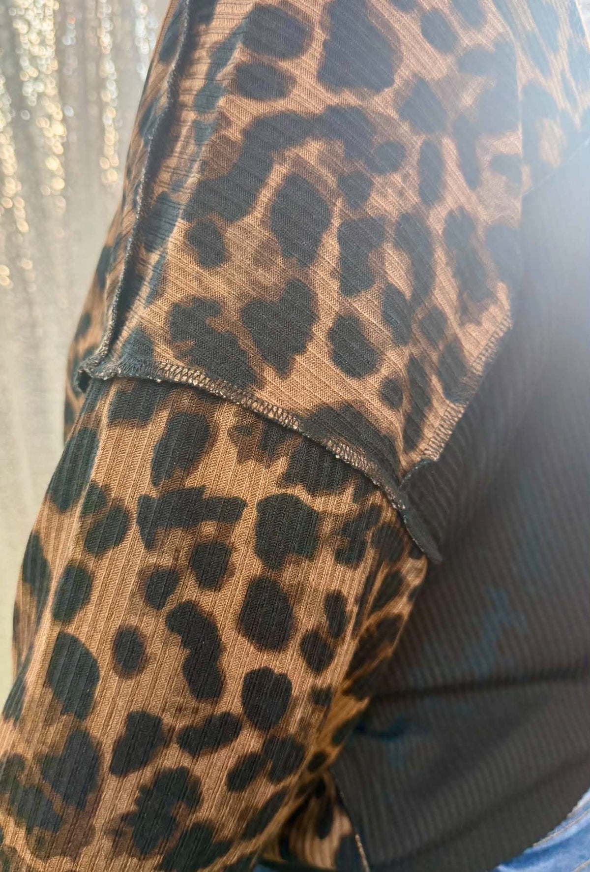 Heimish Leopard Print Long Sleeve Top