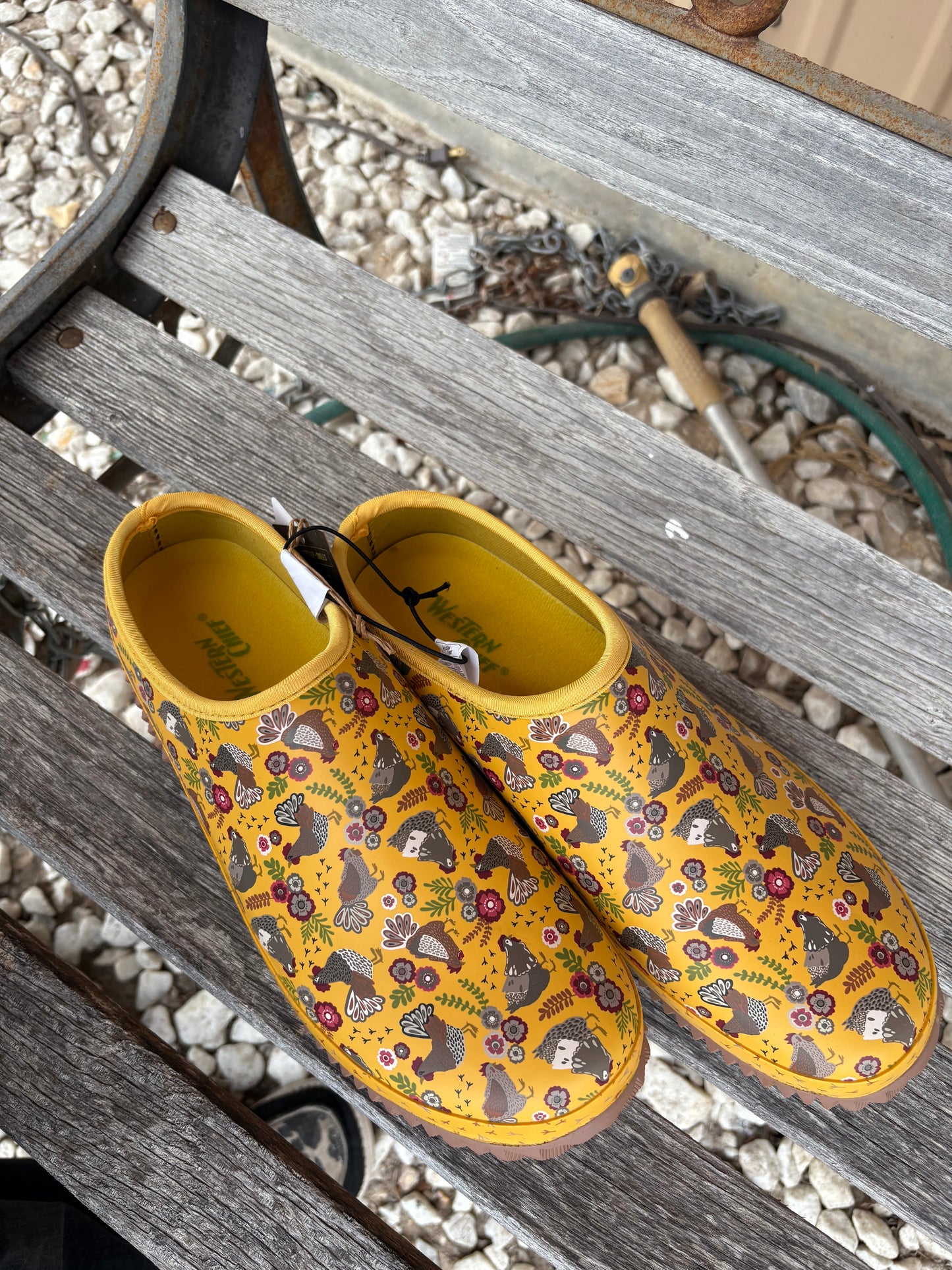 Western Chief Chicken Rubber Clogs