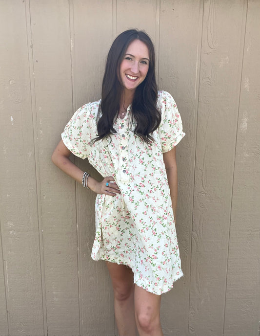 Easel Delicate Floral Dress