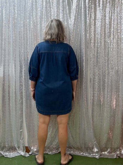 Heimish Denim zip dress PLUS