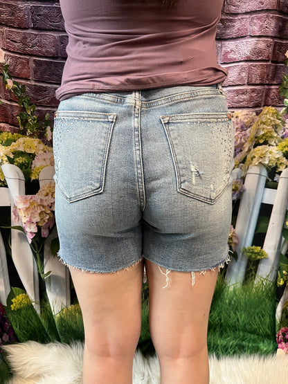 Judy Blue Shorts Plus Size