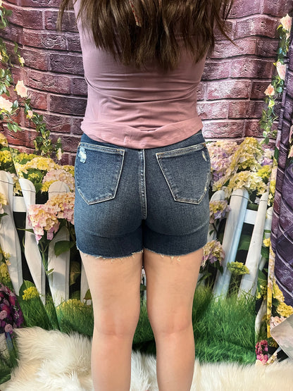 Judy Blue Shorts