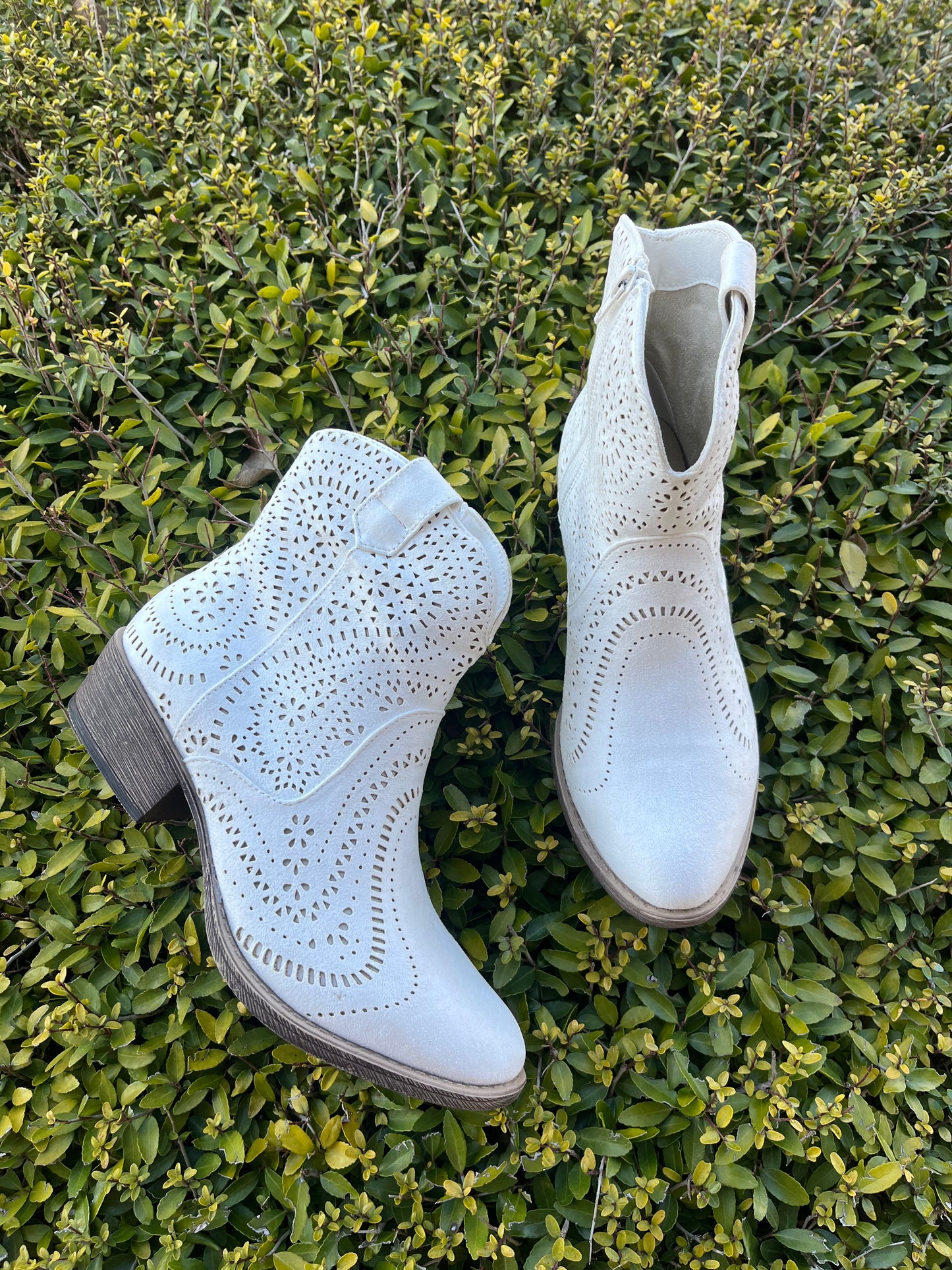 Gypsy Jazz Zest Booties