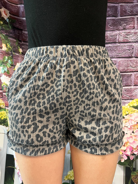 Jacqueline Leopard Shorts Plus Size
