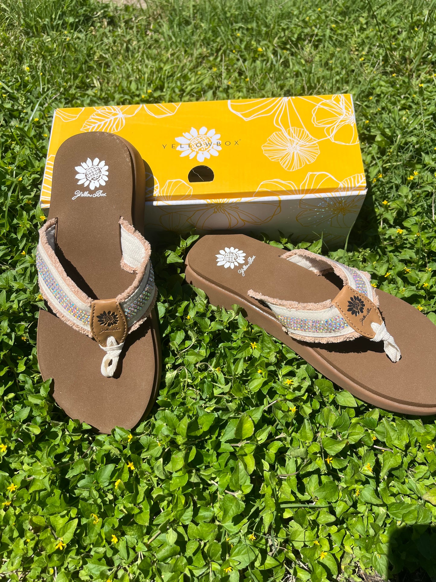 Yellowbox Genzy Flip Flops