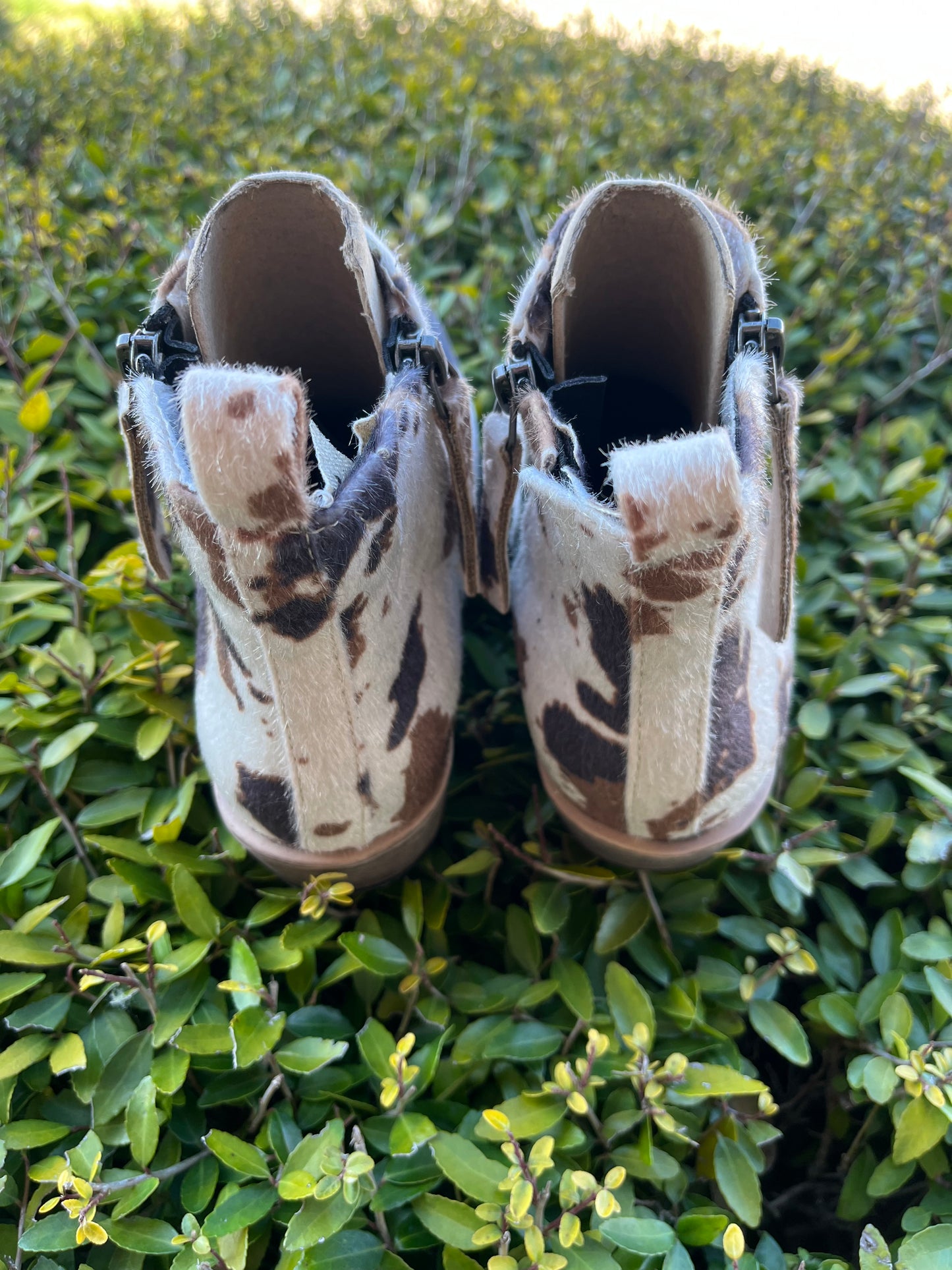 Gypsy Jazz Chisel Booties