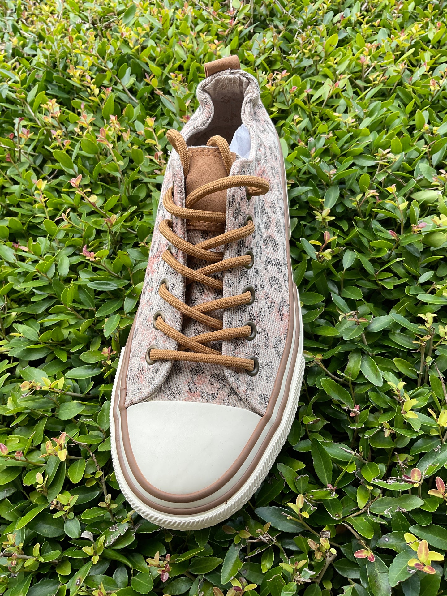 Gypsy Jazz Driana Sneakers